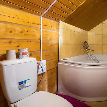 Skyta Вилла Ворохта