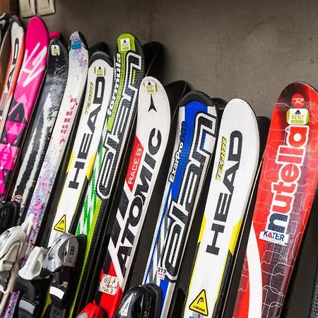 Βίλα Skyta Vorokhta